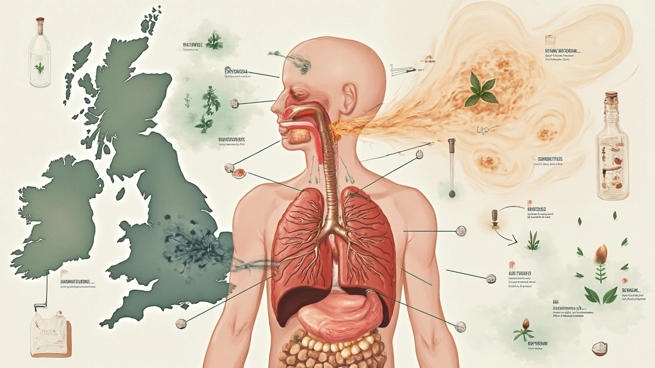 How Aromatherapy Works on Your Lungs