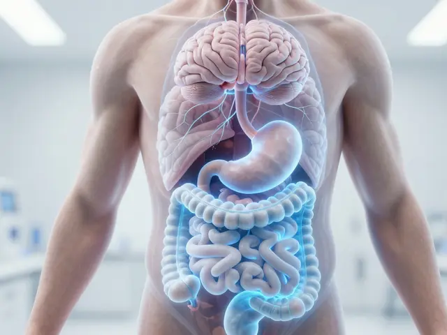 Gastro Health: Why Gut Health Is More Important Than You Think